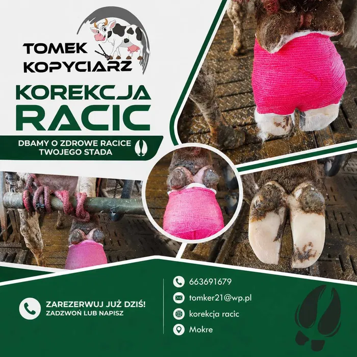 Korekcja racic — DBAMY O ZDROWE RACICE TWOJEGO STADA